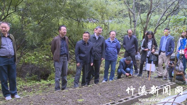 QQ图片20190924102616