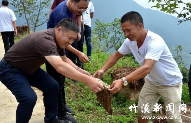 QQ截图20190926085014