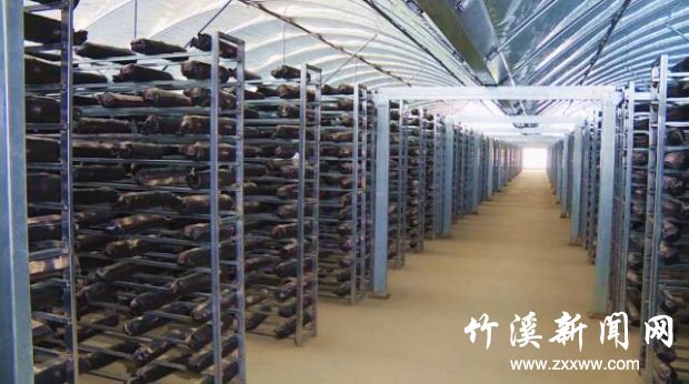 QQ截图20191017090548