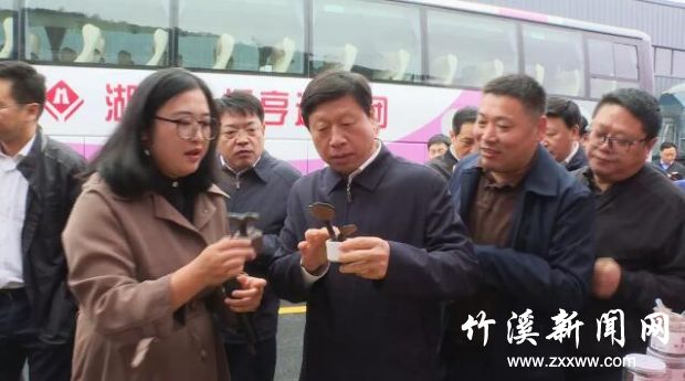 QQ截图20191017090603