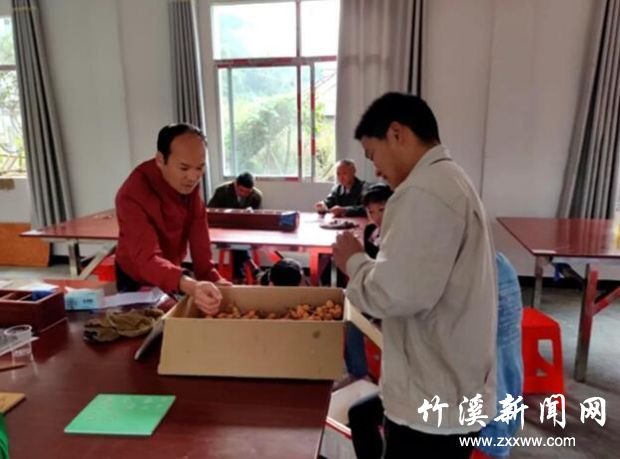QQ截图20191108084625