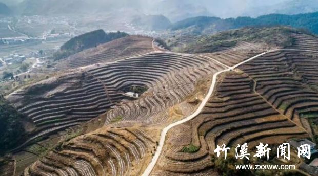 QQ截图20191112090235