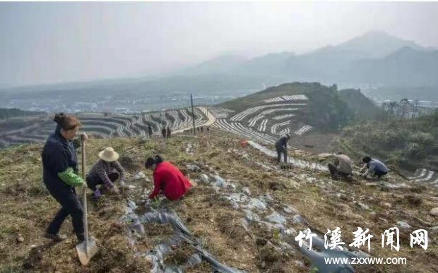 QQ截图20191112090245