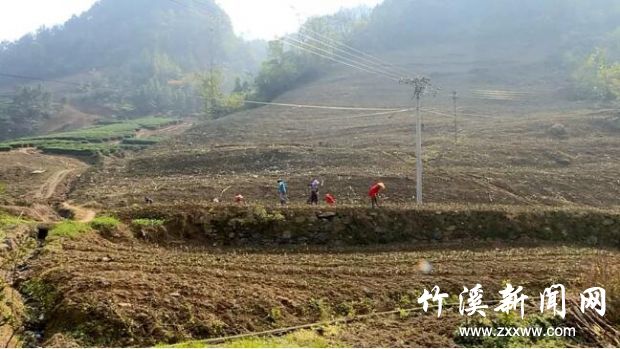 QQ截图20191112090323