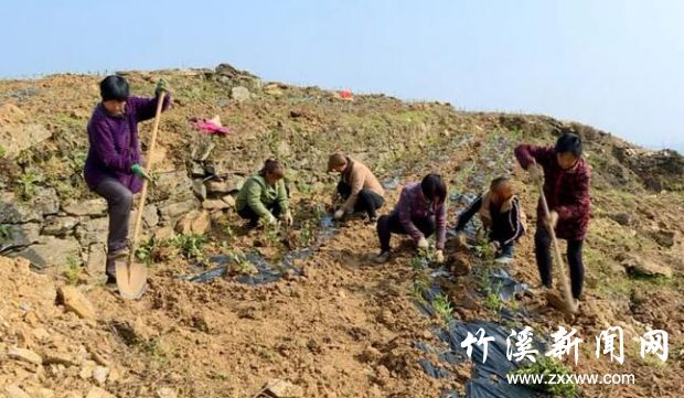 QQ截图20191112090402