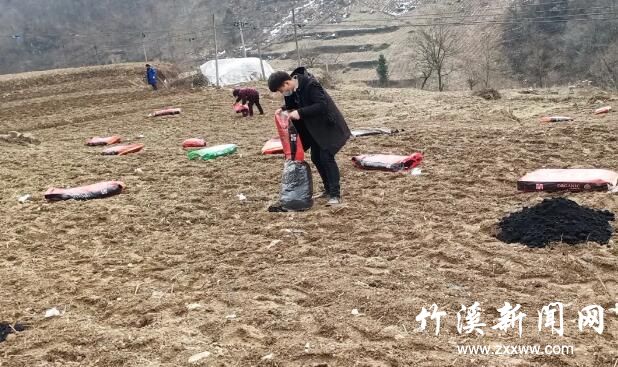 QQ截图20200225122106