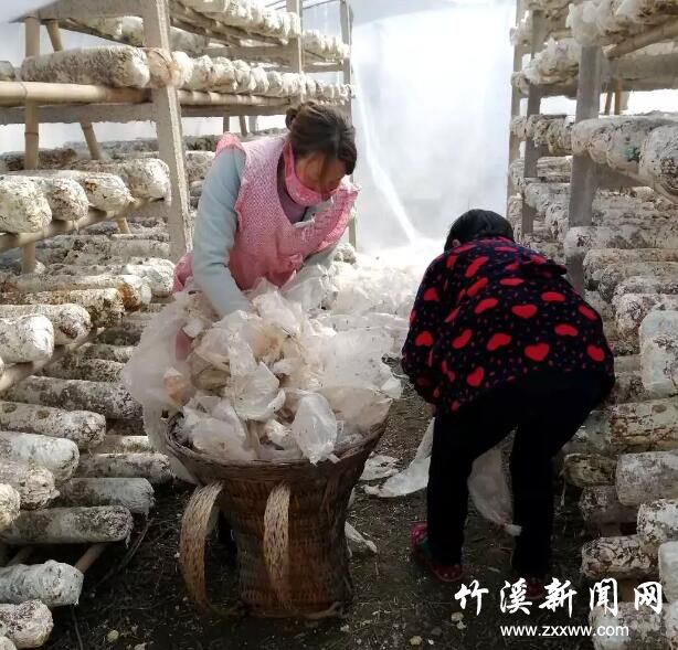 QQ截图20200229132805