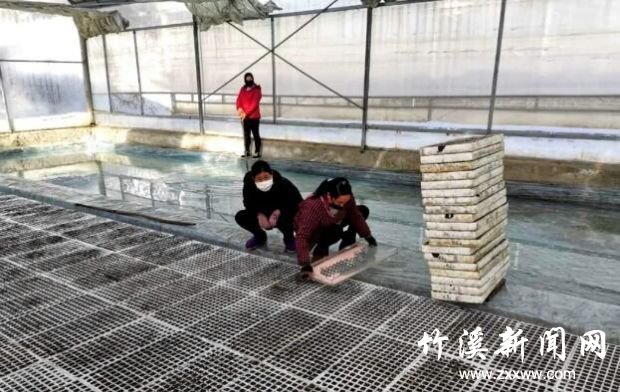 QQ截图20200229132930