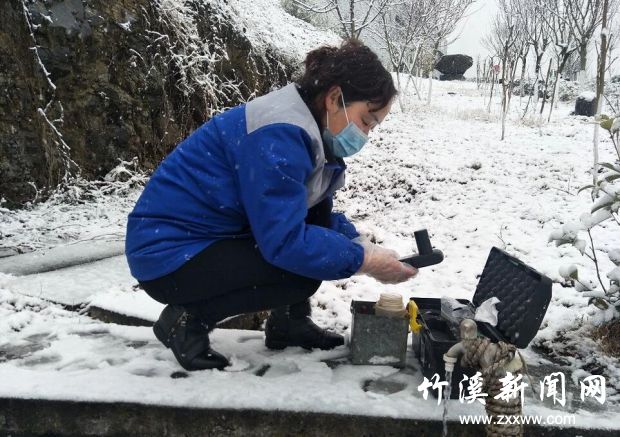 QQ截图20200301101231
