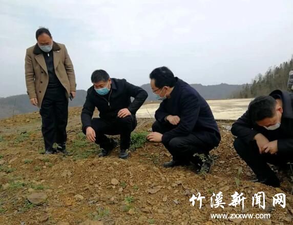 QQ截图20200302094743