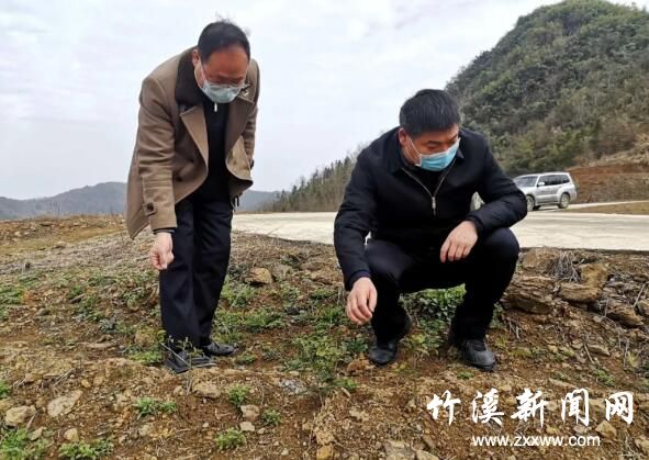 QQ截图20200302151424