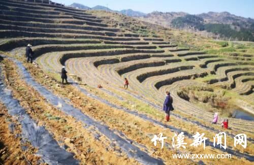 QQ截图20200306092033