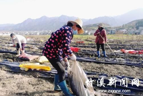 QQ截图20200306092042