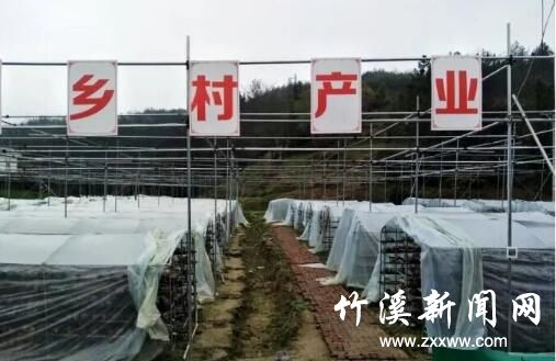QQ截图20200306092306