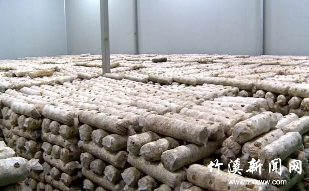 QQ截图20200307101603