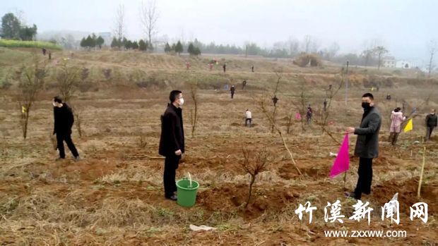 QQ图片20200307144541