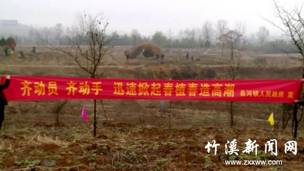 QQ图片20200307144534