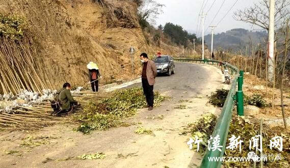 QQ截图20200311085923