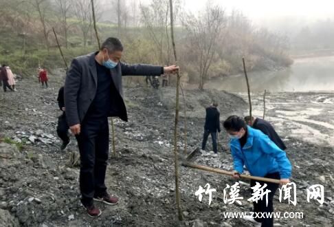 QQ截图20200311090050