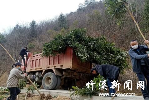 QQ截图20200311090146
