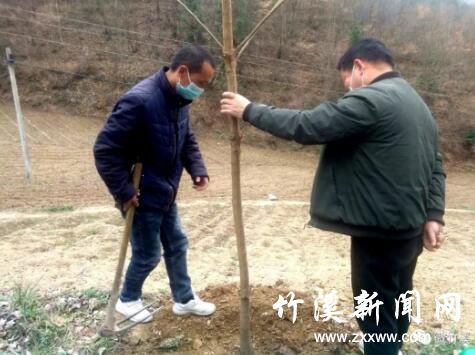 QQ截图20200311090153