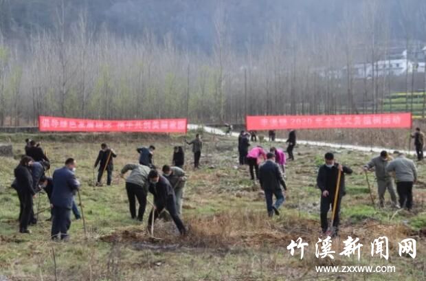 QQ截图20200312162116