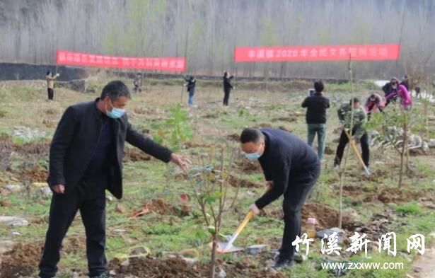 QQ截图20200312162144