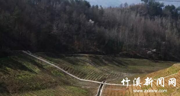 QQ截图20200312162226