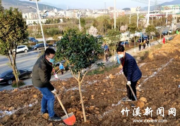 QQ截图20200313085927