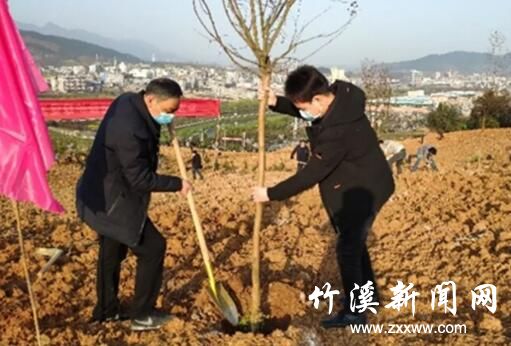 QQ截图20200313090003