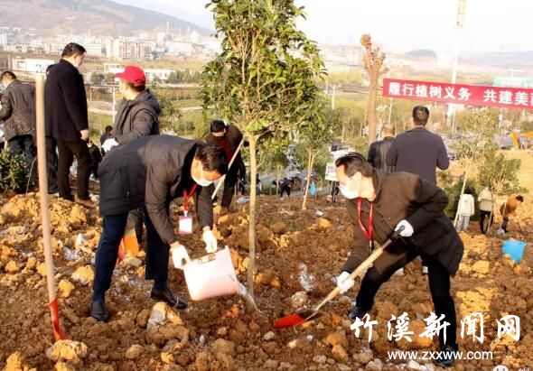 QQ截图20200313090043