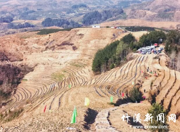 QQ截图20200314145137