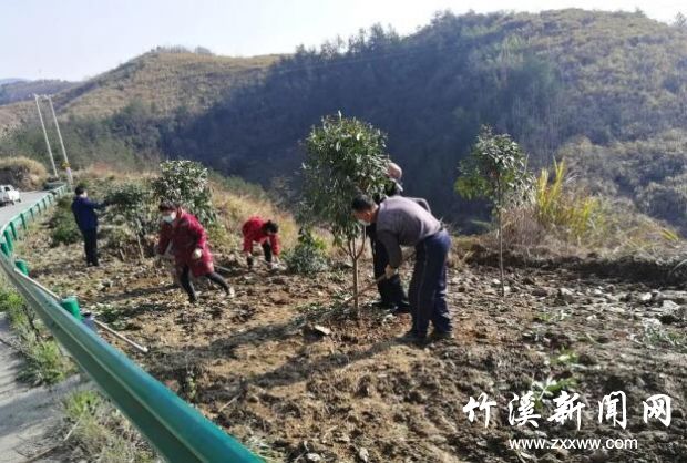 QQ截图20200314145311