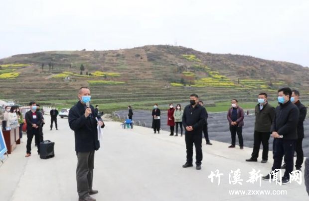 QQ截图20200317084405