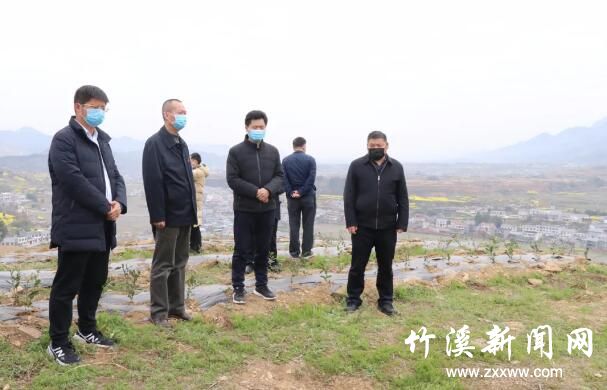 QQ截图20200317084438