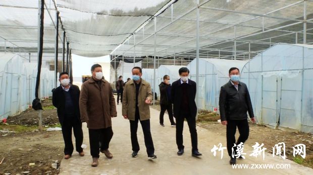 QQ图片20200317143947