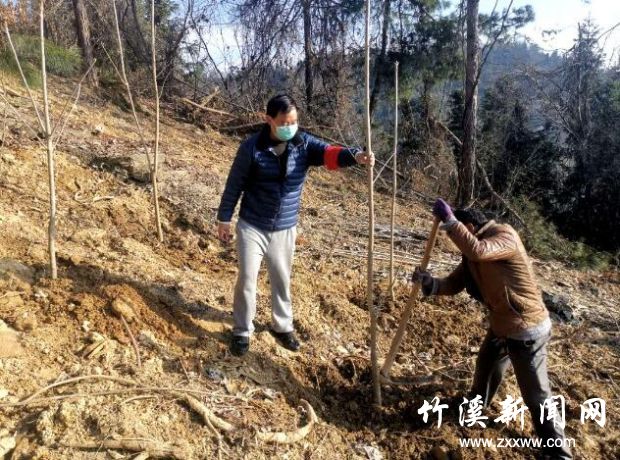 QQ截图20200318084651