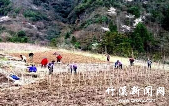 QQ截图20200319084556