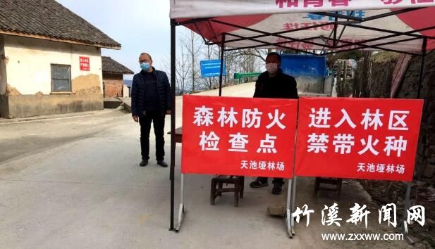QQ截图20200323082943