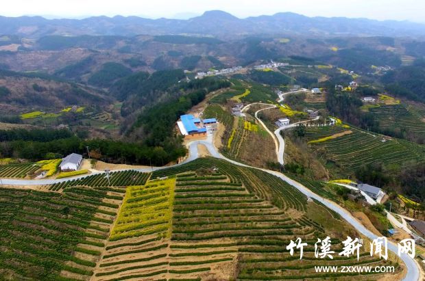 QQ截图20200324110633