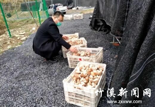 QQ截图20200325084232