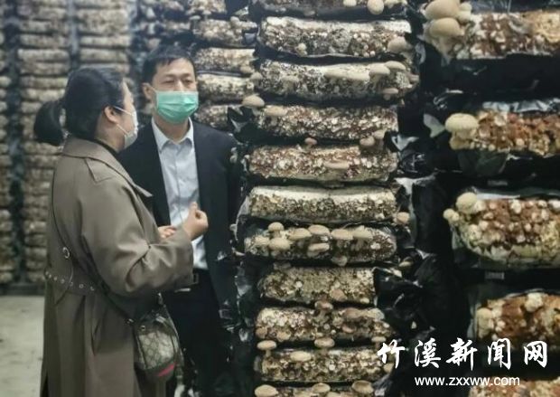 QQ截图20200325105336