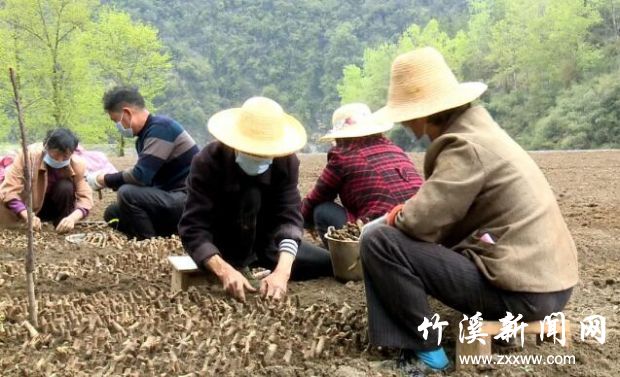 QQ截图20200325142616