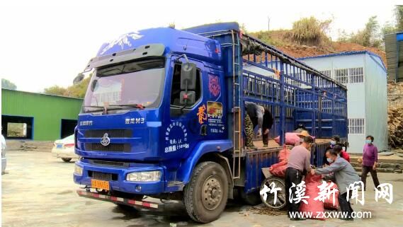 QQ截图20200325142720