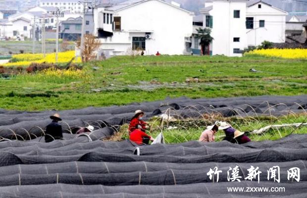 QQ截图20200325142929