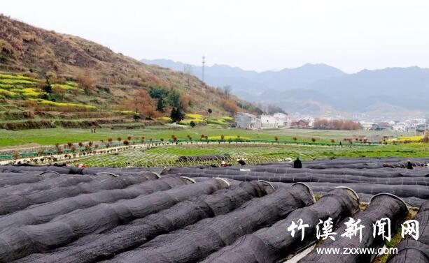 QQ截图20200325143128