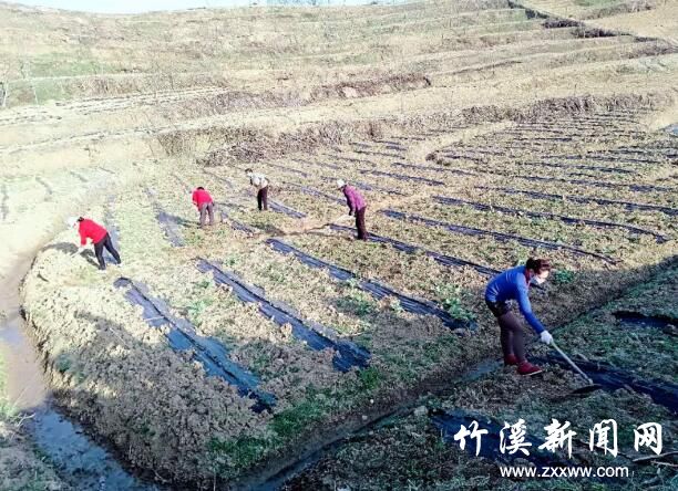 QQ截图20200326144529