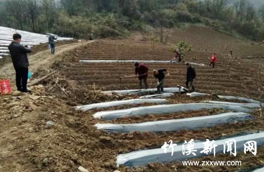 QQ截图20200326144627