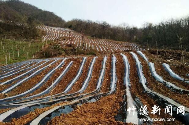 QQ截图20200326144657