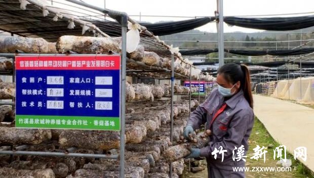 QQ截图20200407095512